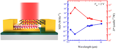 Graphical abstract: A high-performance long-wave infrared photodetector based on a WSe2/PdSe2 broken-gap heterodiode