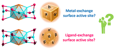 Graphical abstract: Probing the surface-active sites of metal nanoclusters with atomic precision: a case study of Au5Ag11