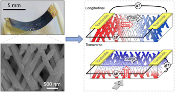 Graphical abstract: Polycrystalline bismuth nanowire networks for flexible longitudinal and transverse thermoelectrics