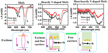 Graphical abstract: Ultrafast carrier dynamics in vanadium-doped MoS2 alloys