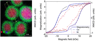 Graphical abstract: Probing strongly exchange coupled magnetic behaviors in soft/hard Ni/CoFe2O4 core/shell nanoparticles