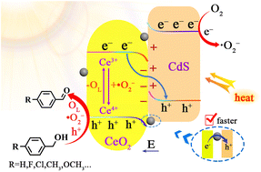 Graphical abstract: The Mars–Van Krevelen cycle and non-noble metal Ni jointly promoting Z-scheme charge transfer: a study on the photothermal synergy effect applied in selectively oxidizing aromatic alcohols