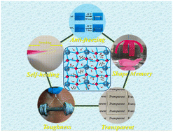 Graphical abstract: Nanoarchitectonics composite hydrogels with high toughness, mechanical strength, and self-healing capability for electrical actuators with programmable shape memory properties