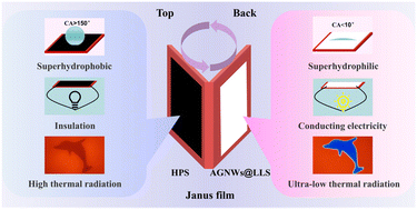 Graphical abstract: Multifunctional polyimide-based femtosecond laser micro/nanostructured films with triple Janus properties
