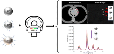 Graphical abstract: Surface modification effect on contrast agent efficiency for X-ray based spectral photon-counting scanner/luminescence imaging: from fundamental study to in vivo proof of concept