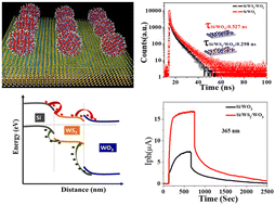 Graphical abstract: WO3-NP-activated WS2 layered heterostructures for efficient broadband (254 nm–940 nm) photodetection