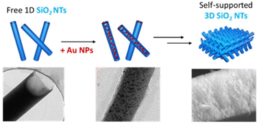 Graphical abstract: Tuning Au/SiO2 nanostructures from 1D to 3D interconnected nanotube networks using polycarbonate porous templates