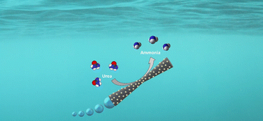 Graphical abstract: Bubble-propelled micromotors for ammonia generation
