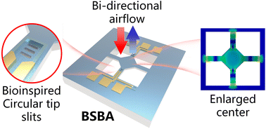 Graphical abstract: Bio-inspired, sensitivity-enhanced, bi-directional airflow sensor for turbulence detection