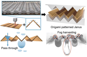 Graphical abstract: Femtosecond-laser-patterned origami Janus membrane toward enhanced water fog harvesting