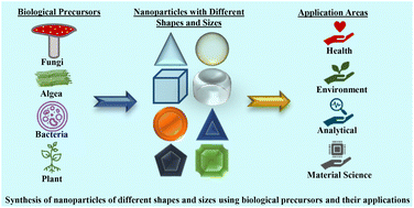 Graphical abstract: Biogenic synthesis of novel nanomaterials and their applications