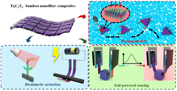 Graphical abstract: Multifunctional actuators integrated with the function of self-powered temperature sensing made with Ti3C2Tx–bamboo nanofiber composites