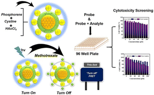 Graphical abstract: An optical sensing platform for the detection of anti-cancer drugs and their cytotoxicity screening using a highly selective phosphorene-based composite
