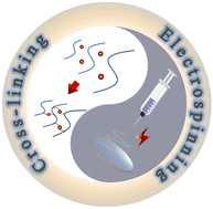 Graphical abstract: Cross-linking electrospinning