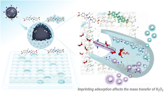 Graphical abstract: Multifunctional molecularly imprinted nanozymes with improved enrichment and specificity for organic and inorganic trace compounds