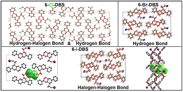 Graphical abstract: Halogen- and hydrogen-bonded self-assembled fibrillar networks of substituted 1,3:2,4-dibenzylidene-d-sorbitols (DBS)