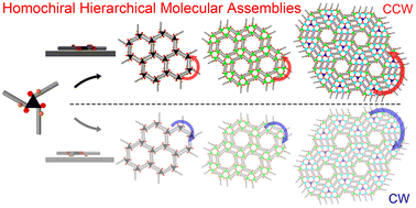 Graphical abstract: Homochiral hierarchical molecular assemblies through dynamic combination of conformational states of a single chiral building block at the liquid/solid interface