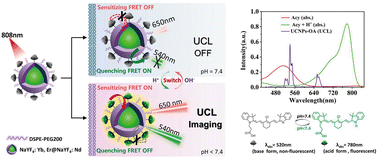 Graphical abstract: A dye-quenched/sensitized switching upconversion nanoprobe for high-contrast mapping of the pH-related tumor microenvironment