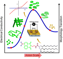 Graphical abstract: Anion-assisted supramolecular polymerization of luminescent organic π-conjugated chromophores in a moderately polar solvent: tunable nanostructures and their corresponding effects on electronic properties