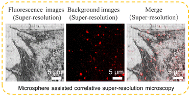 Graphical abstract: Correlative super-resolution bright-field and fluorescence imaging by microsphere assisted microscopy