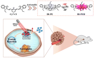 Graphical abstract: Inducing tumor ferroptosis via a pH-responsive NIR-II photothermal agent initiating lysosomal dysfunction