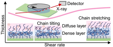 Graphical abstract: Stretching of immersed polyelectrolyte brushes in shear flow