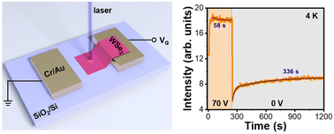 Graphical abstract: Optical readout of charge carriers stored in a 2D memory cell of monolayer WSe2