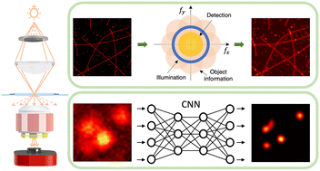 Graphical abstract: Super resolution label-free dark-field microscopy by deep learning
