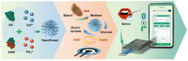 Graphical abstract: Development of enzyme–inorganic hybrid nanoflower-modified electrodes and a smartphone-controlled electrochemical analyzer for point-of-care testing of salivary amylase in saliva