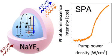 Graphical abstract: Understanding Yb3+-sensitized photon avalanche in Pr3+ co-doped nanocrystals: modelling and optimization