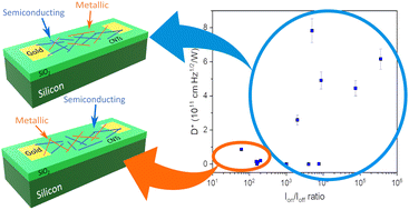 Graphical abstract: Photogating interfacial effects in carbon nanotube-based transistors on a Si/SiO2 substrate toward highly sensitive photodetection