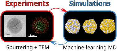 Graphical abstract: Exploring the formation of gold/silver nanoalloys with gas-phase synthesis and machine-learning assisted simulations