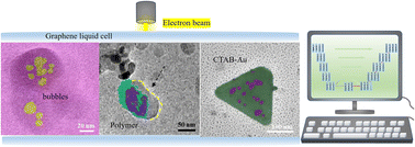 Graphical abstract: Revealing microscopic dynamics: in situ liquid-phase TEM for live observations of soft materials and quantitative analysis via deep learning