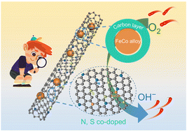 Graphical abstract: Structural design of FeCo alloy implanted into N,S co-doped carbon nanotubes via self-catalyzed growth for advanced liquid and flexible all-state-state Zn–air battery