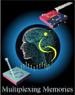 Graphical abstract: Electron-beam writing of a relaxor ferroelectric polymer for multiplexing information storage and encryption