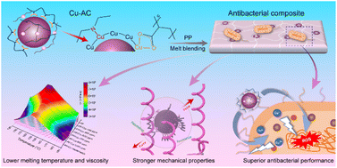 Graphical abstract: Dual functionalized copper nanoparticles for thermoplastics with improved processing and mechanical properties and superior antibacterial performance