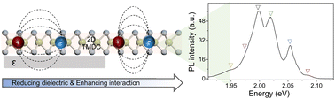 Graphical abstract: Enhanced interactions of excitonic complexes in free-standing WS2