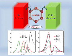 Graphical abstract: Charge and spin thermoelectric transport in benzene-based molecular nano-junctions: a quantum many-body study