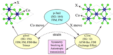 Graphical abstract: Co3X8 (X = Cl and Br): multiple phases and magnetic properties of the Kagome lattice