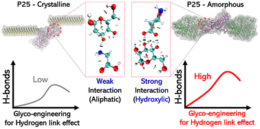 Graphical abstract: An atomistic scale simulation study of structural properties in the silk–fibrohexamerin complex