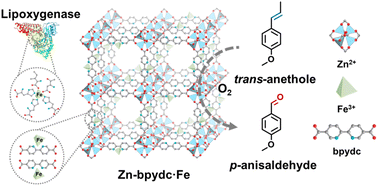 Graphical abstract: Iron-incorporated metal–organic frameworks for oxidative cleavage of trans-anethole to p-anisaldehyde