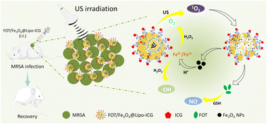 Graphical abstract: An ultrasound-controllable ROS-responsive nanoplatform for O2 and NO generation to enhance sonodynamic therapy against multidrug-resistant bacterial infections