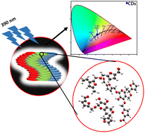 Graphical abstract: White light emission from helically stacked humin-mimic based H-aggregates in heteroatom free carbon dots