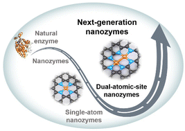Graphical abstract: An emerging direction for nanozyme design: from single-atom to dual-atomic-site catalysts