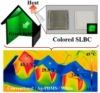 Graphical abstract: Smart building block with colored radiative cooling devices and quantum dot light emitting diodes