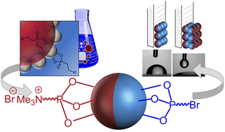 Graphical abstract: Amphiphilic titania Janus nanoparticles containing ionic groups prepared in oil–water Pickering emulsion