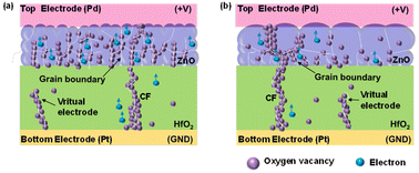 Graphical abstract: Effects of thermal annealing on analog resistive switching behavior in bilayer HfO2/ZnO synaptic devices: the role of ZnO grain boundaries