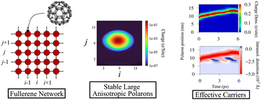 Graphical abstract: Large polarons in two-dimensional fullerene networks: the crucial role of anisotropy in charge transport