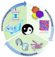 Graphical abstract: Insights into the mechanical stability of tetrahydrofuran hydrates from experimental, machine learning, and molecular dynamics perspectives