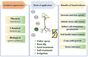 Graphical abstract: Recent advances in nano-fertilizers: synthesis, crop yield impact, and economic analysis